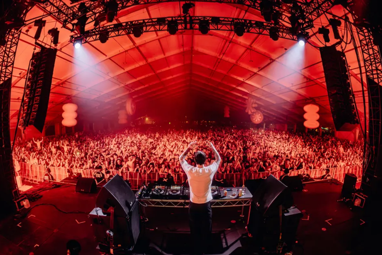 DJ performing on stage at Wildlands Festival looking out over a packed indoor venue crowd bathed in bright red lighting.